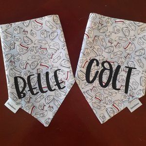 Dog bandanas over the collae